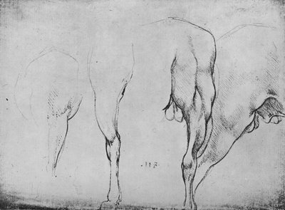 Studi delle gambe dei cavalli, c1480 1945 da Leonardo da Vinci