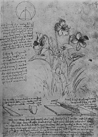 Studi di viole e di metodi di saldatura dei tetti in piombo, c1480 1945 da Leonardo da Vinci