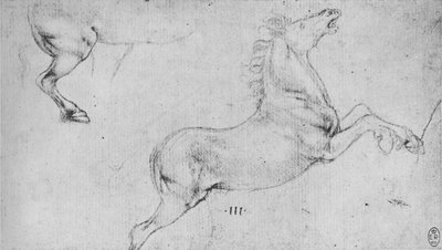 Studi di un cavallo impennato e quarti posteriori di un cavallo da Leonardo da Vinci