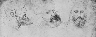 Studi della testa di Cesare Borgia da tre punti di vista da Leonardo da Vinci