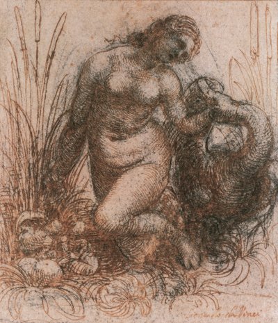 Studio per Leda e il cigno da Leonardo da Vinci