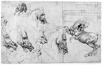 Studio per La Battaglia di Anghiari da Leonardo da Vinci