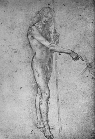 Studio per un giovane San Giovanni Battista da Leonardo da Vinci