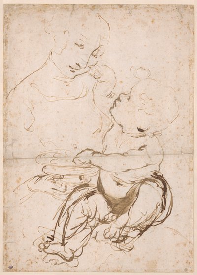 Studio per la Madonna con una ciotola di frutta da Leonardo da Vinci