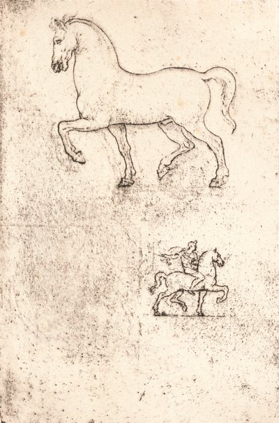 Studio per il Monumento Sforza, c1482-c1499, 1883 da Leonardo da Vinci