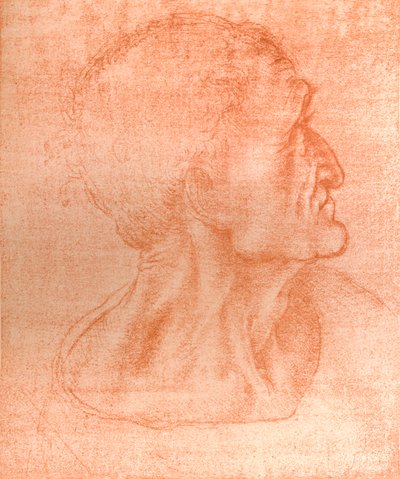 Studio per la testa di Giuda in `L