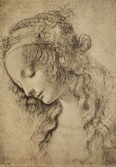 Studio per la testa di Maddalena da Leonardo da Vinci