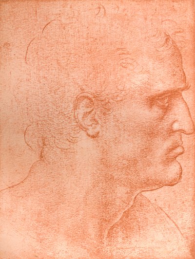 Studio per la testa di San Matteo in 