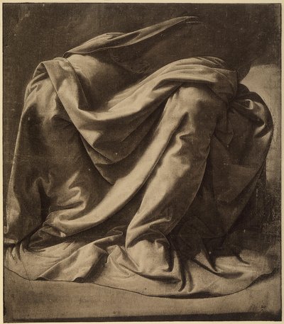 Studio per il mantello della Vergine nell