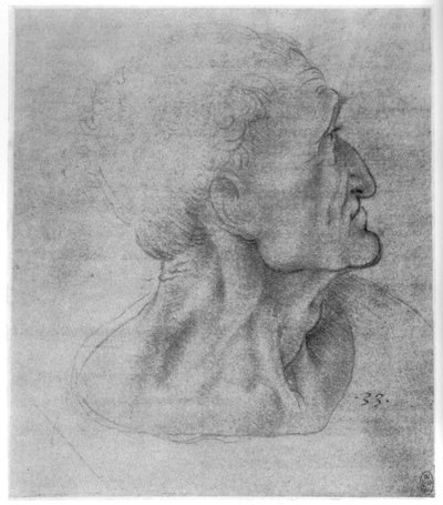 Studio di Giuda per L