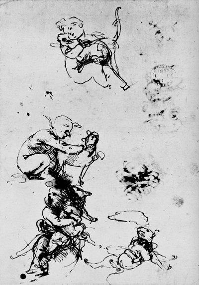 Studio di un bambino con un gatto da Leonardo da Vinci