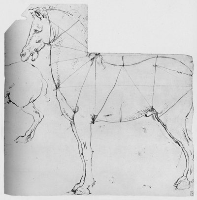 Studio di un cavallo segnato per la misurazione, c1480 1945 da Leonardo da Vinci