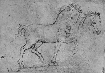 Studio di un Cavallo e della Testa di un Cavallo, c1480 1945 da Leonardo da Vinci