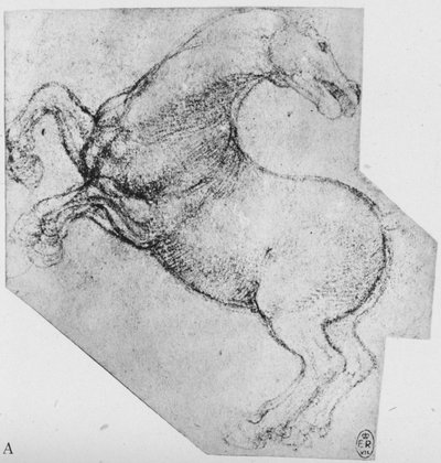 Studio di un cavallo impennato, c1480 da Leonardo da Vinci