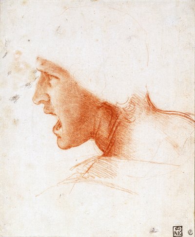 Studio della testa di un guerriero per la Battaglia di Anghiari da Leonardo da Vinci