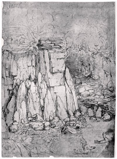Studio di una caverna rocciosa con anatre da Leonardo da Vinci