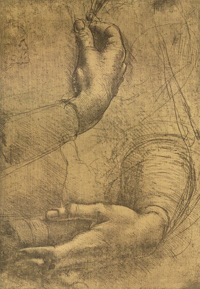Studio di mani femminili, c1472-c1519 1883 da Leonardo da Vinci