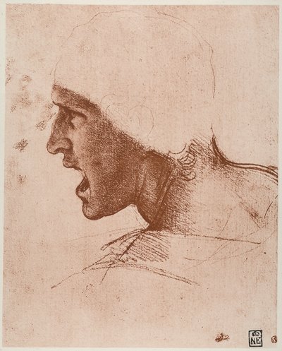 Studio di testa maschile per la Battaglia di Anghiari, disegno di Leonardo da Vinci, sanguigna su carta rosata, conservato nel Museo delle Belle Arti di Budapest. da Leonardo da Vinci