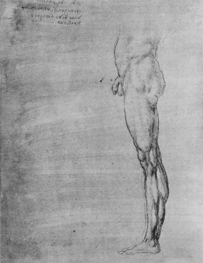 Studio del corpo e della gamba di un uomo, c1480 1945 da Leonardo da Vinci