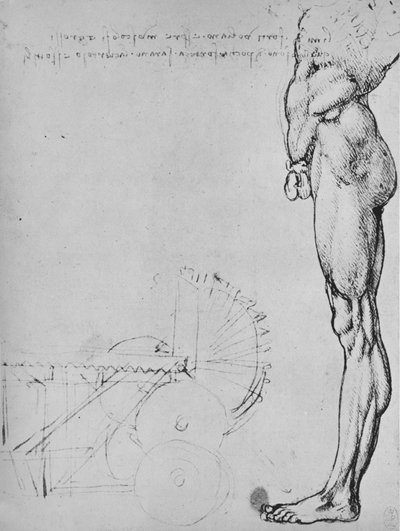 Studio della metà inferiore di un uomo e di macchinari, c1480 1945 da Leonardo da Vinci