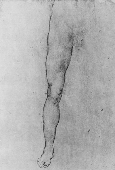 Studio della metà inferiore di un uomo nudo di fronte da Leonardo da Vinci