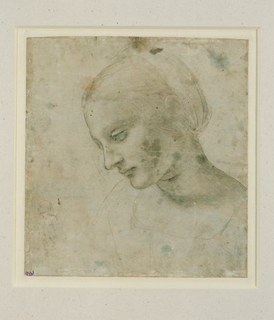 Testa di donna quasi di profilo ... da Leonardo da Vinci