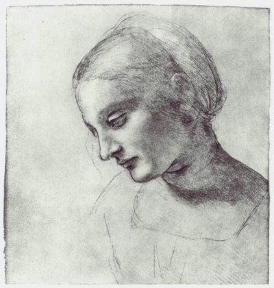 La testa di una Madonna, c. 1484-1486 da Leonardo da Vinci