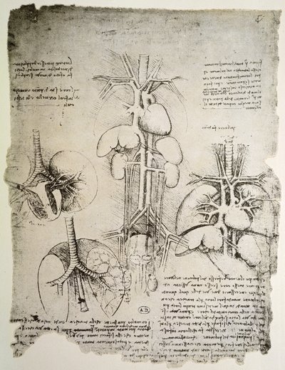 Il cuore e la circolazione, facsimile del libro di Windsor da Leonardo da Vinci