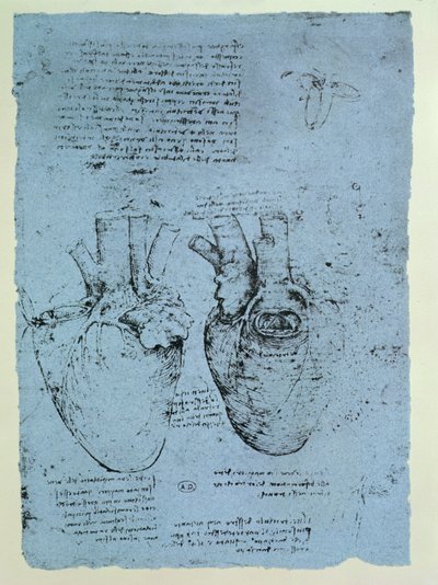 Il Cuore, facsimile del libro di Windsor da Leonardo da Vinci