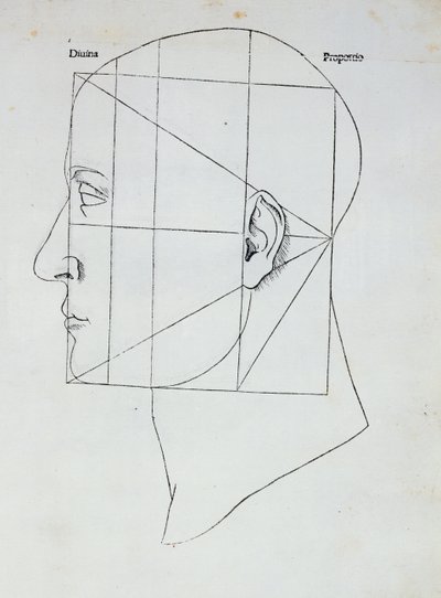 La testa umana, illustrazione per 