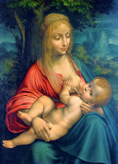 La Vergine e il Bambino, c1511 da Leonardo da Vinci