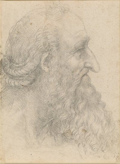 Testa di un vecchio barbuto da Leonardo da Vinci