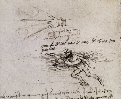 La palma e la boa, Codice Atlantico da Leonardo da Vinci