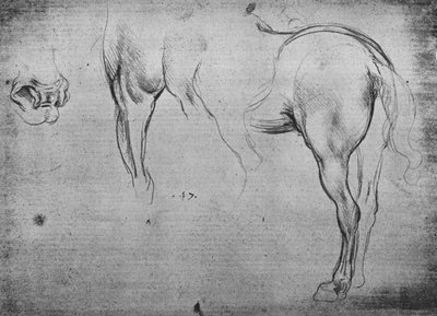 Tre schizzi del posteriore di un cavallo e uno delle sue narici, c1480 1945 da Leonardo da Vinci