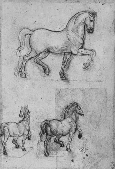 Tre Studi di Cavalli, c. 1480 1945 da Leonardo da Vinci
