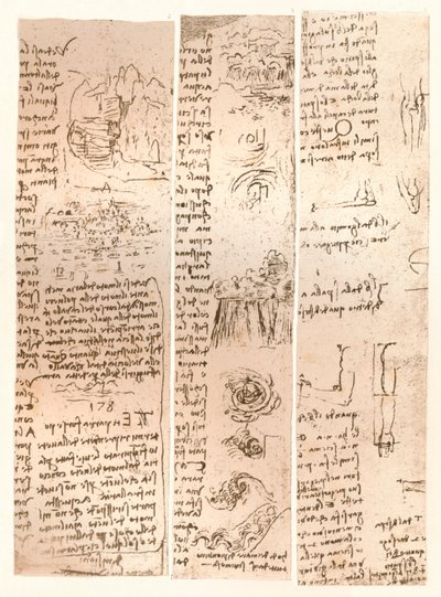 Tre disegni, c1472-c1519, 1883 da Leonardo da Vinci