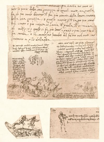 Tre disegni, c1472-c1519, 1883 da Leonardo da Vinci