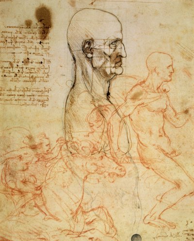 Torso di un uomo di profilo, la testa squadrata per proporzione, e schizzi di due cavalieri, c.1490 e c.1504 (penna e inchiostro e gesso rosso su carta) da Leonardo da Vinci