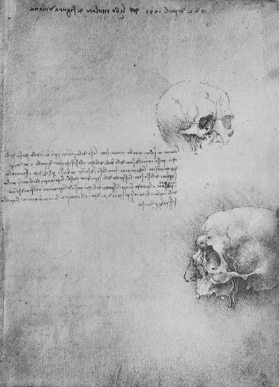 Due disegni della struttura ossea della testa, c1480 da Leonardo da Vinci