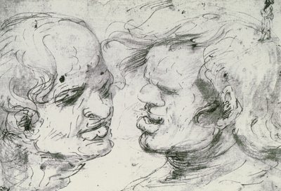 Due teste da Leonardo da Vinci