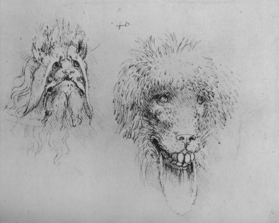 Due teste di mostri, c1480 1945 da Leonardo da Vinci