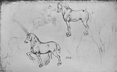 Due studi di cavalli, uno di un cavaliere al galoppo e altri di gambe di cavalli da Leonardo da Vinci
