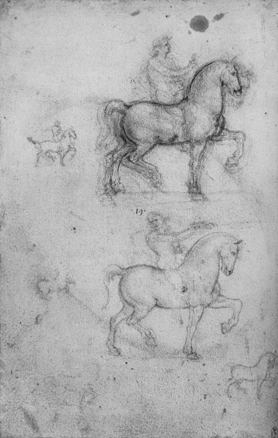 Due studi di cavalli e cavalieri e studi più piccoli di cavalli, c1480 1945 da Leonardo da Vinci