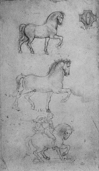 Due studi di un cavallo e uno di un cavallo e cavaliere da Leonardo da Vinci