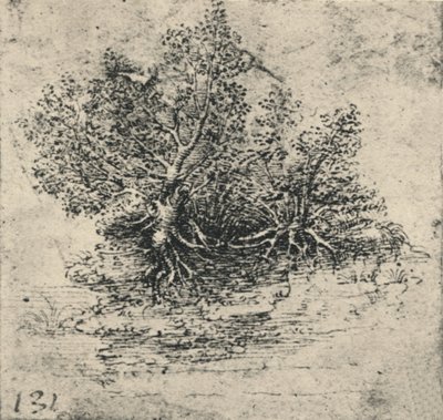 Due alberi sulla riva di un ruscello da Leonardo da Vinci