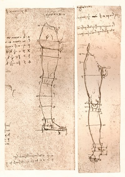 Due disegni che illustrano la teoria delle proporzioni della figura umana, c1472-c1519 1883 da Leonardo da Vinci
