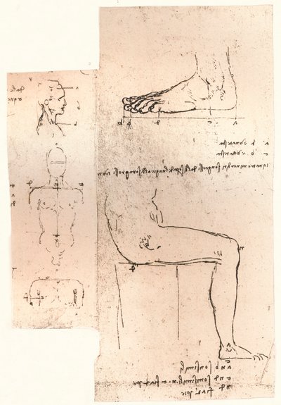 Due disegni che illustrano la teoria delle proporzioni della figura umana, c1472-c1519 da Leonardo da Vinci