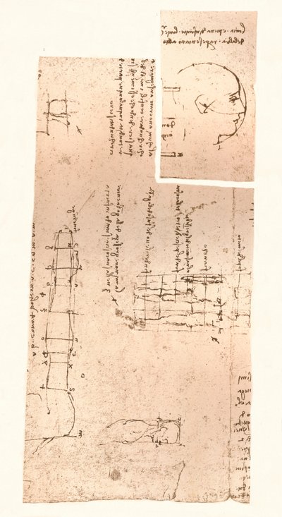 Due disegni che illustrano la teoria delle proporzioni della figura umana, c1472-c1519 1883 da Leonardo da Vinci
