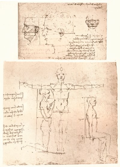 Due disegni che illustrano la teoria delle proporzioni della figura umana da Leonardo da Vinci