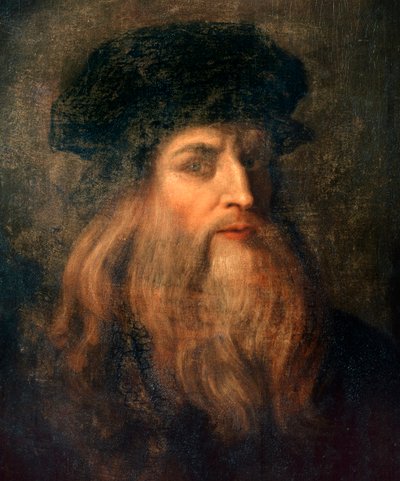 Immagine sconosciuta da Leonardo da Vinci